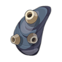 Bivalve